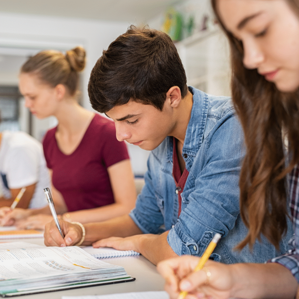clases de refuerzo alhendín
